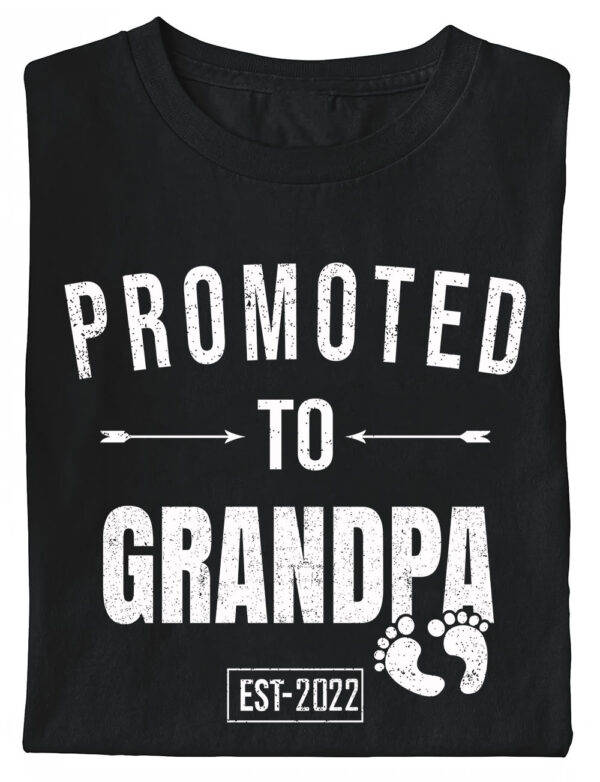 Promoted to Grandpa EST 2022 New Papa T Shirts